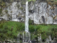 Gough Island Wasserfall 1