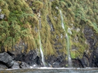 Gough Island Wasserfall 2