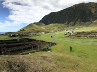 2019 03 16 Tristan da Cunha Erdäpfelplantage 1