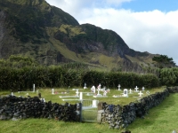 2019 03 16 Tristan da Cunha Friedhof 2