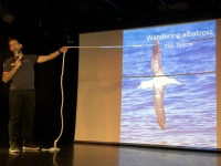 Vortrag über Albatrosse