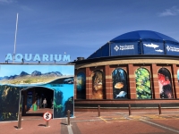 Aquarium in der Watefront