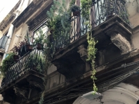Verwachsene Balkone