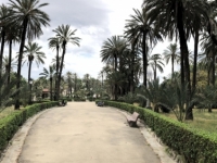 2019 05 29 Palermo Garten