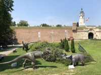 Belgrader Festung mit Dinosaurierausstellung