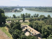 Zusammenfluss von Save und Donau