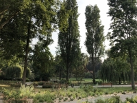 Garten Saint Roch