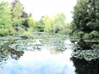 2019 08 05 Giverny Garten von Monet
