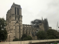 Notre Dame mit Gerüst