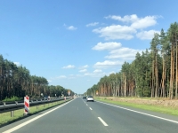 Autobahn mitten durch den Wald