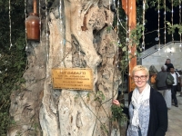 2019 09 30 Buchara Restaurant Labihouse 500 Jahre alter Baum