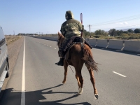 2019 10 10 Pferd auf der Autobahn