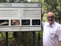Spanien Nationalpark Garajonay Kanaren auf Insel La Gomera Tafel 22