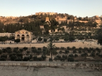 Zurück in Jerusalem Blick auf Ölberg