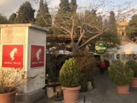 2019 11 28 Haifa Garten vor Karmeliterkloster