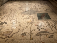 Tagbha Brotvermehrungskirche Mosaika