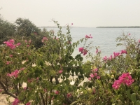 Senegal Nationalpark Delta du Saloum Kopfbild 2