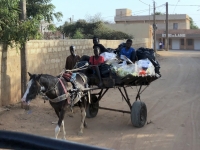 2020 02 11 Transportmittel Nr 1 in Senegal