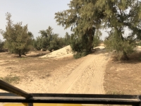 2020 02 13 Letzte Etappe der Rallye Dakar über die Sanddünen
