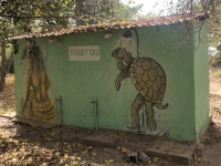 Schildkröten auch auf dem WC