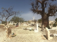 2020 02 16 Muschelinsel gemischter Friedhof