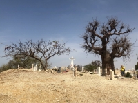 Gemischter Friedhof