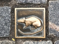 Rattenfänger Spazierweg