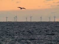2020 07 08 Westerland auf Sylt Offshore Windräder in der Nordsee