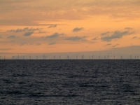 Offshore Windräder in der Nordsee