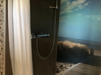 Hotel Schwedenhaus tolle Dusche
