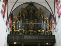 Domkirche St Peter und Paul Orgel