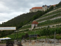 Schloss Neuenburg mit Weinberg