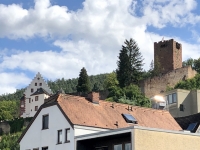 Burg über Miltenberg