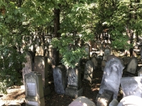 Fotostopp am jüdischen Friedhof
