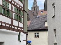 Ulmer Münster zwischen den Häusern