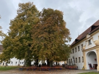2020 10 12 Kloster Oberschönenfeld Gastgarten Brauhof