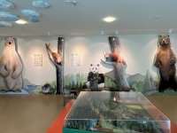 Verschiedene Bären in der Ausstellung