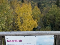 Beschreibung Moorblick