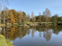 2020 10 25 Gmünd Naturpark Blockheide Herbstspiegelung im Teich
