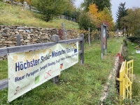 Höchster Schau Weingarten Niederösterreichs