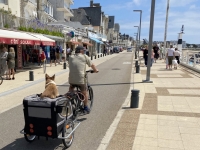 2021-07-14-Quiberon-Ort-Hundetransport-am-Strand