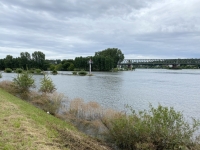 220 cm Hochwasser in Main und Rhein