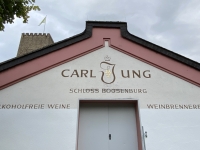 Größte alkoholfreie Weinproduktion in Deutschland