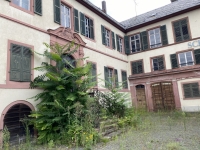 Immobilien Spekulation auch in Rüdesheim