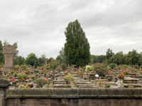 Johannesfriedhof