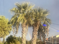 Regenbogen kurz vor Rhodos