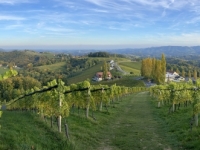 2021 10 20 Glanz Weinstr Poststein oberhalb Tschermonegg