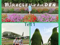 2022-01-02-Miracle-Garden-Fotocollage-1