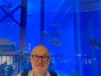 2021-12-31-Dubai-Mall-riesiges-Aquarium