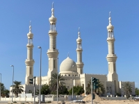Moschee-auf-der-Hinfahrt